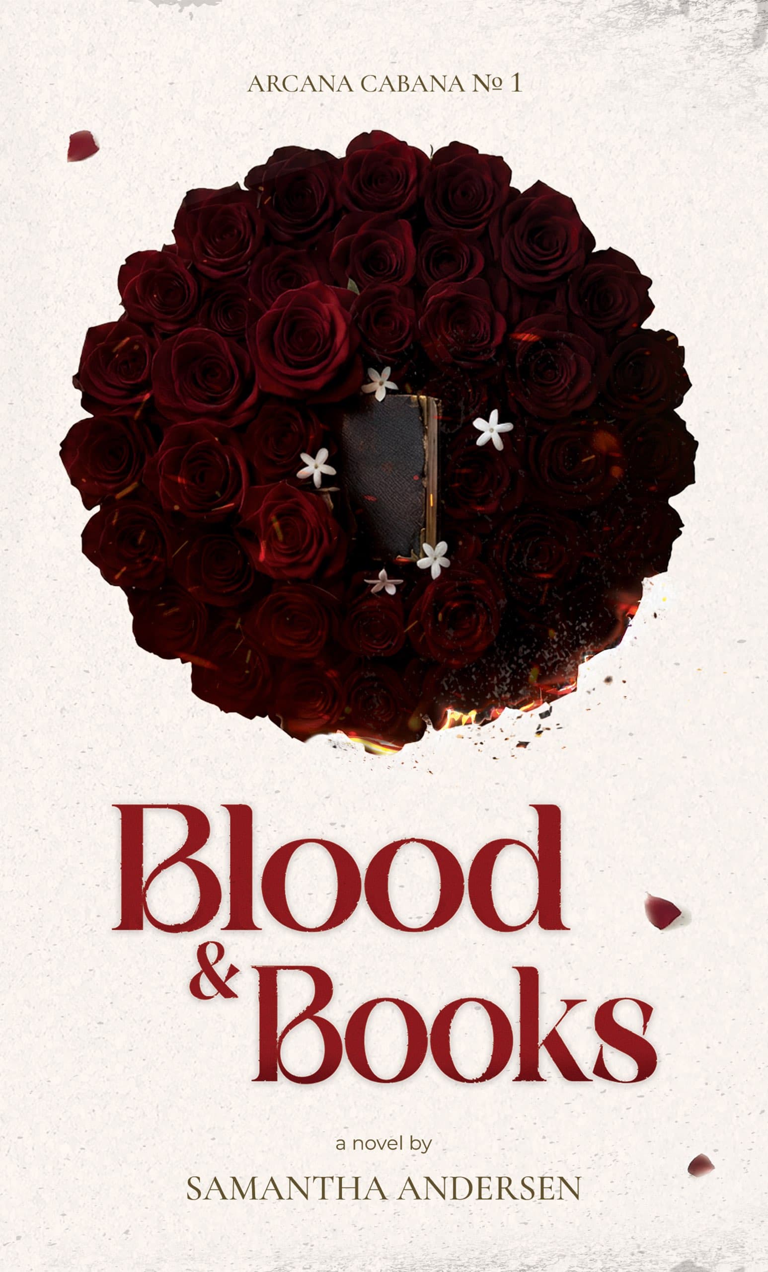 Blood & Books by Samantha Andersen