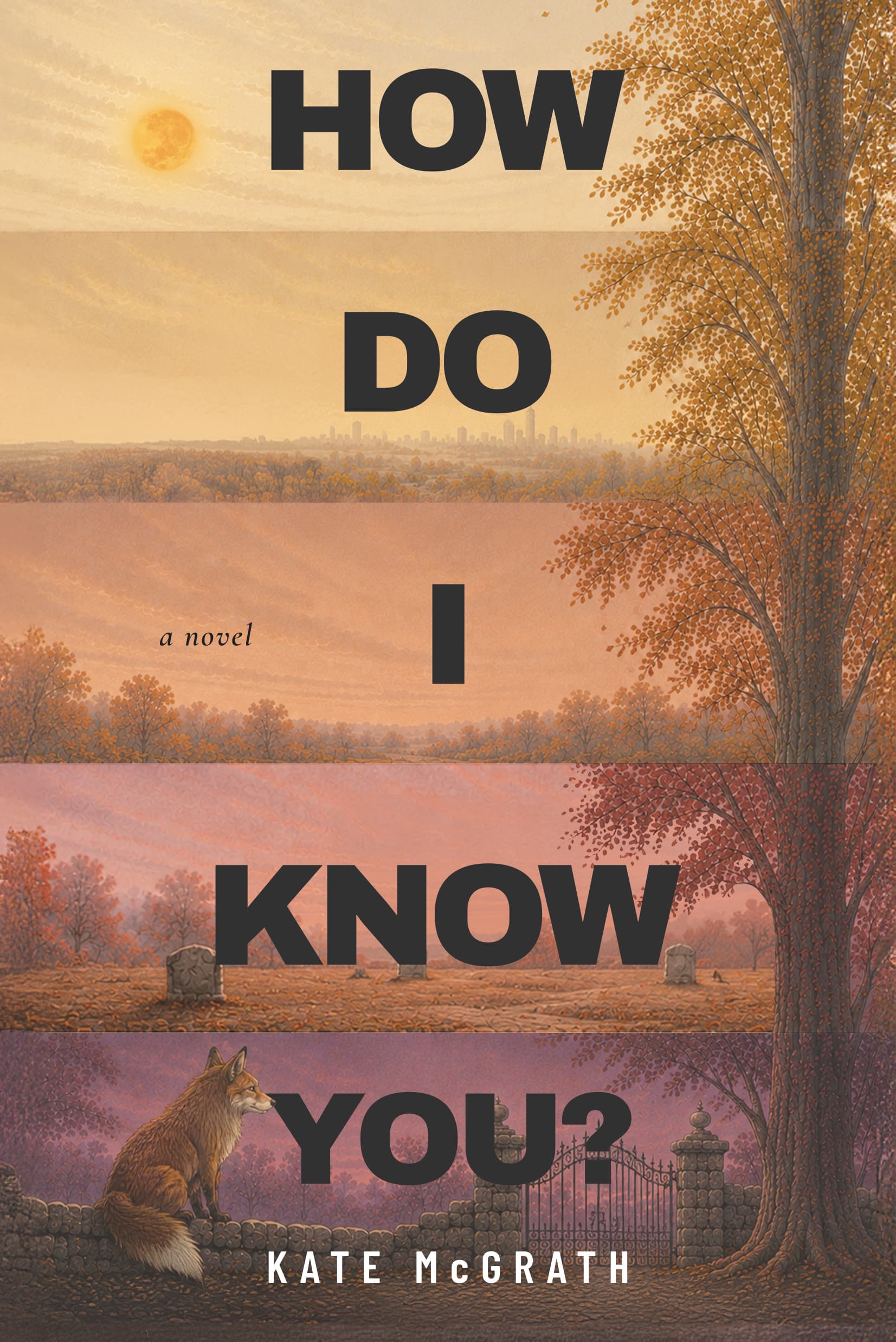 How Do I Know You? by Kate McGrath